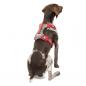 Preview: Kurgo Journey Air Harness Rot  Gr. L